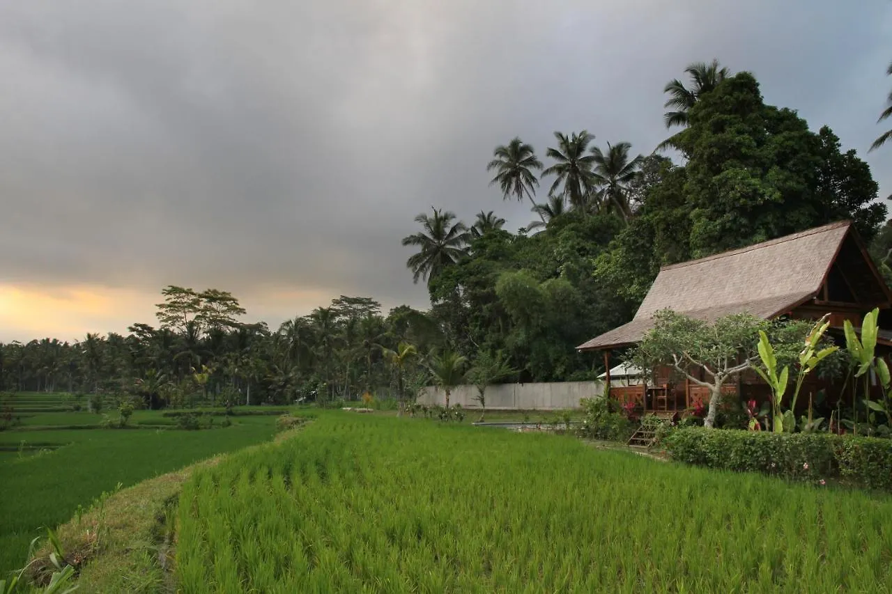 Lodge Benisari Batik Garden Cottage Ubud  Indonesia